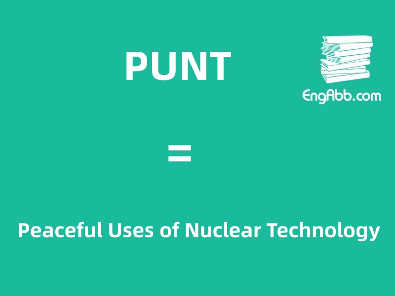“PUNT”是“Peaceful Uses of Nuclear Technology”的缩写，意思是“和平利用核技术”