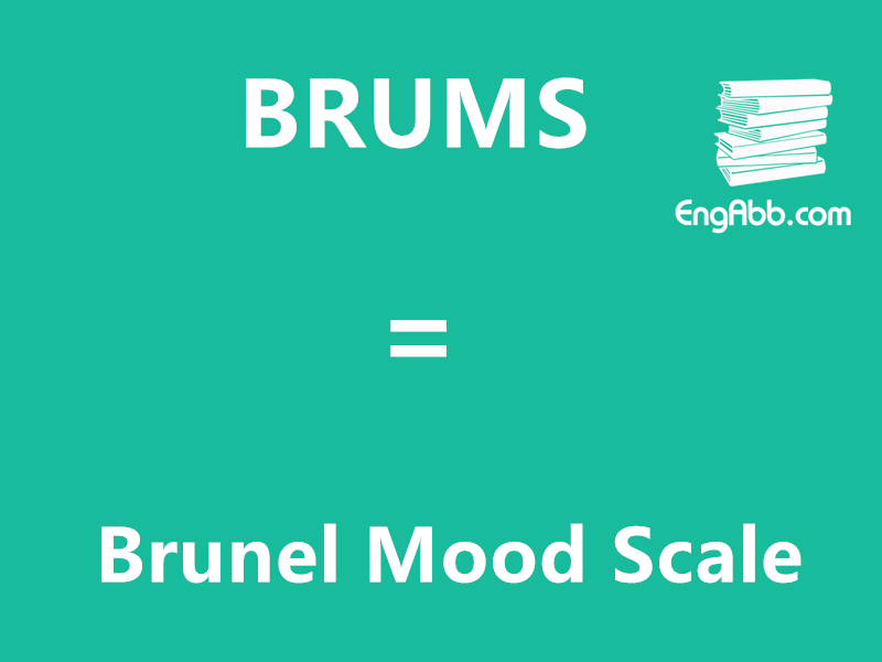 “BRUMS”是“Brunel Mood Scale”的缩写，意思是“布鲁内尔情绪量表”