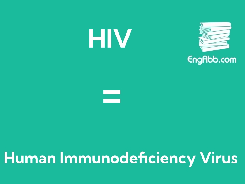 &ldquo;&zwnj;&zwnj;&zwnj;HIV&rdquo;是&ldquo;Human Immunodeficiency Virus&ldquo;的缩写，意思是&ldquo;人类免疫缺陷病毒&rdquo;